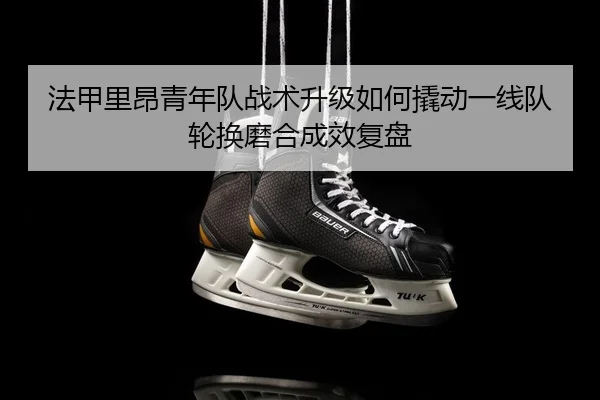 fa-jia-li-ang-qing-nian-dui-zhan-shu-sheng-ji-ru-he-qiao-dong-yi-xian-dui-lun-huan-mo-he-cheng-xiao-fu-pan-2-719.jpg